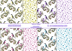 SONGBIRDS BACKGROUND KIT