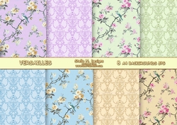 VERSAILLES A4 BACKGROUND KIT