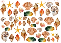 SEA SHELLS CRAFT SHEET
