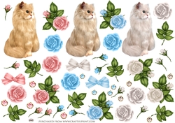 CATS AND ROSES 1