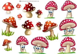FAIRY SHROOMS A4