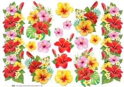 TROPICAL FLOWERS 2 DECOUPAGE