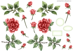ELEGANT ROSE DECOUPAGE PEACH