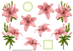 ROYAL LILIES DECOUPAGE PEACH