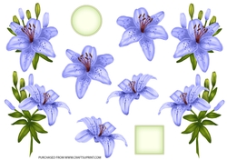ROYAL LILIES DECOUPAGE BLUE