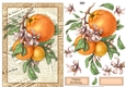 BOTANICAL PERSIMMONS DECOUPAGE TOPPER