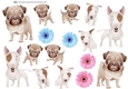 PUPPIES AND FLOWERS A4