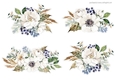 WHITE HEDGEROSES