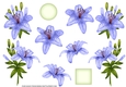 ROYAL LILIES DECOUPAGE BLUE