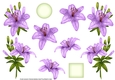 ROYAL LILIES DECOUPAGE PURPLE