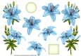 ROYAL LILIES DECOUPAGE TEAL