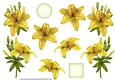 ROYAL LILIES DECOUPAGE YELLOW