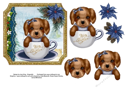 Cute puppy in blue