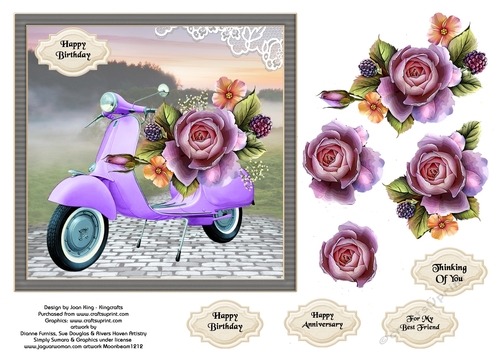 Lavender roses