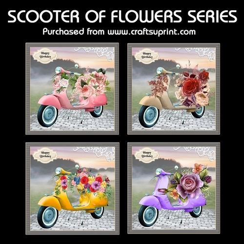 Scooter of Flowers Series
