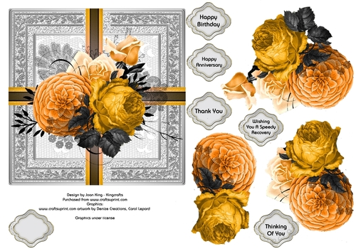 Shades of orange roses