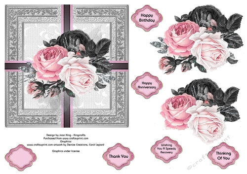 Shades of pink roses