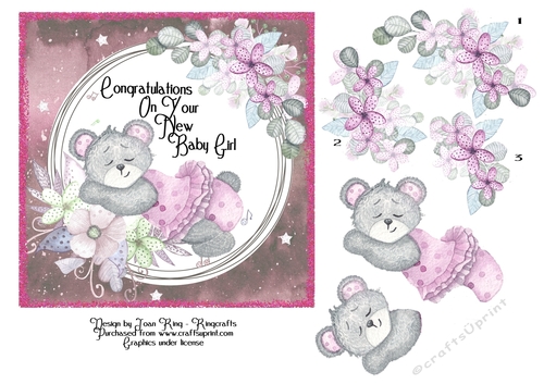 Congratulations on your new baby girl
