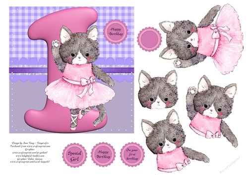 Ballerina cat first birthday