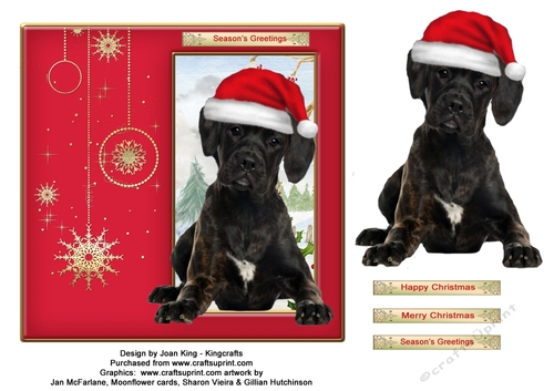 Christmas dog 2