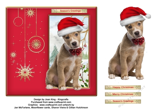 Christmas Dog 5