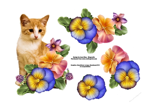 Cat amongst the flowers