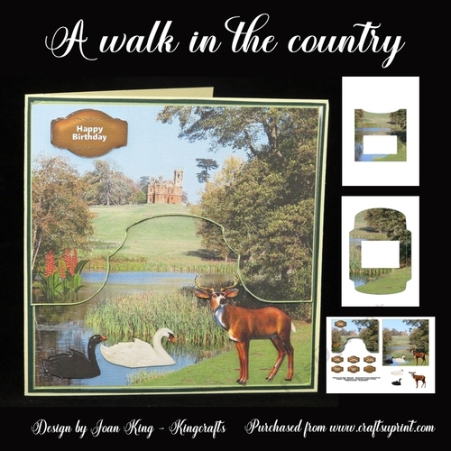 A walk in the country