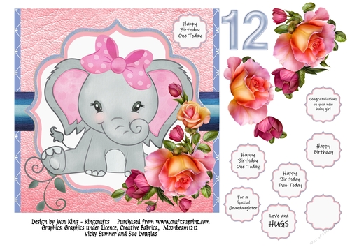 Baby girl elephant