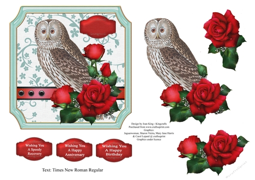Owl and Roses