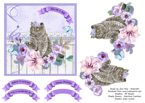 Lavender flowers and cat