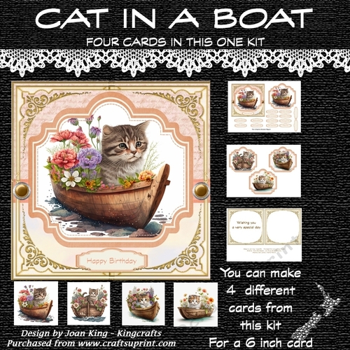 Cat in boat 1