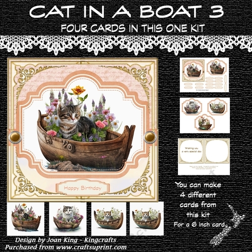 Cat in a boat 3