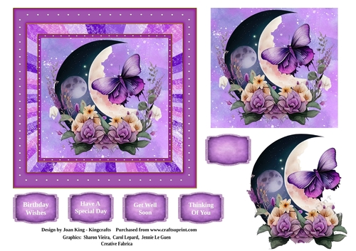 Butterfly and moon 3