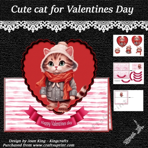 Cute cat for Valentines Day