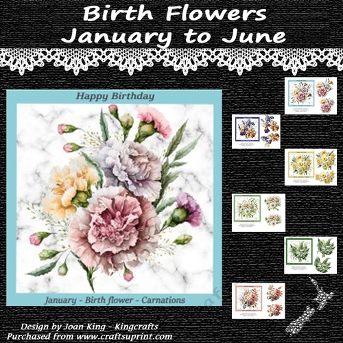 Birth flowers January to June Kit