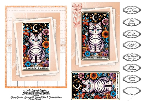 American Shorthair Tarot card