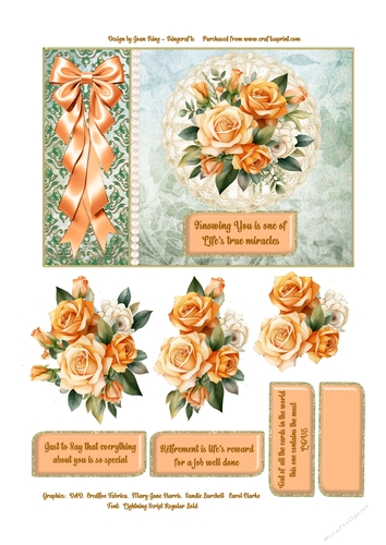 Apricot Rose Bloom