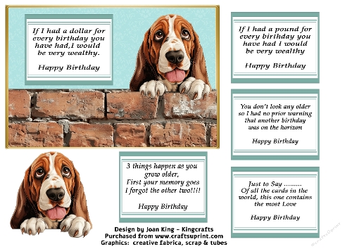 Bassett Hound funny card