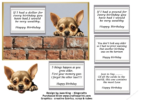 Chihuahua funny card