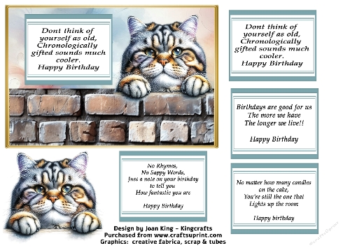 American short hair cat funny card