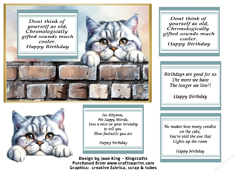 British Shorthair cat funny card