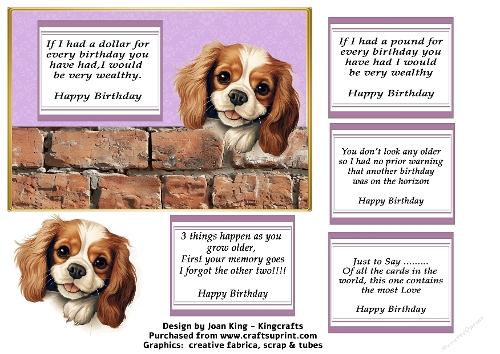 King Charles Cavalier funny birthday