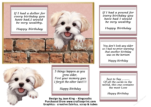 Maltese dog funny birthday