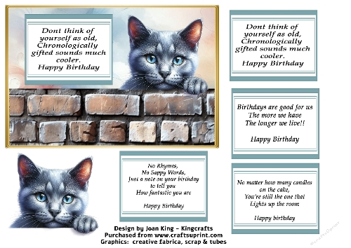 Russian blue funny birthday