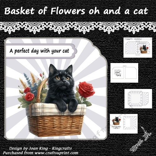 cup1384309_1716 - Basket of flowers and oh a cat!!!