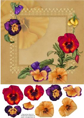 Pansies Galore
