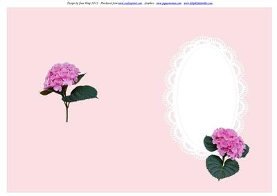 Pink Toned Inserts for Women All Occasions