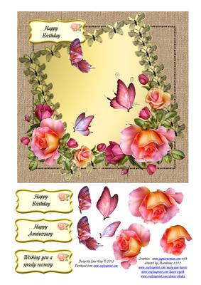 Butterflies Galore