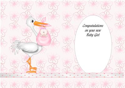 Stork and Baby Girl Insert