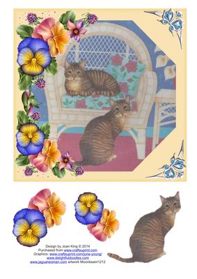 Cats Amongst the Pansies
